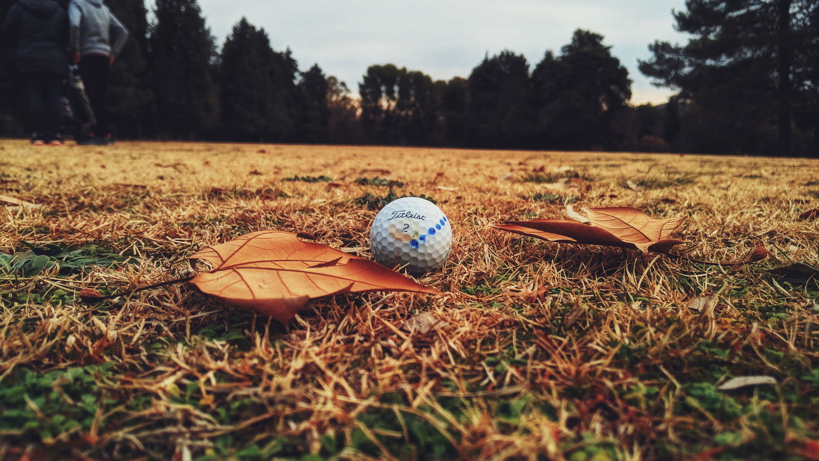Spectator sues golfer and organisers after being hit on head with golf ball